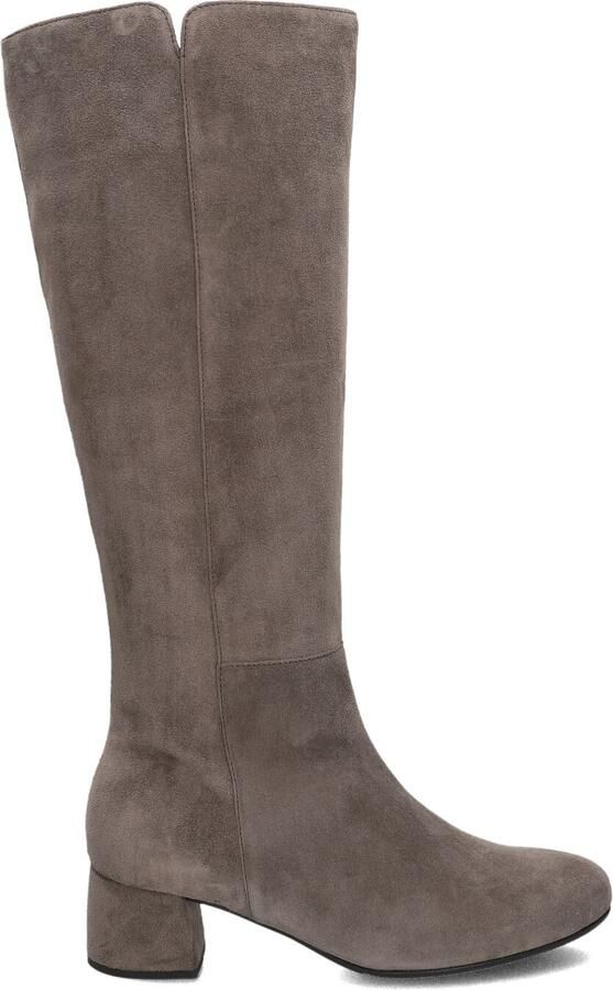 Gabor 689 Laarzen Suède Dames Taupe - Foto 2