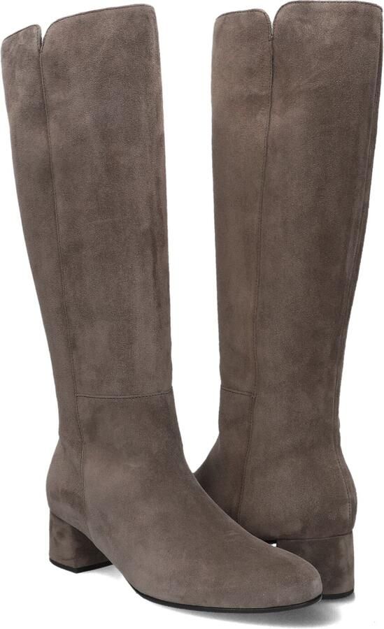 Gabor 689 Laarzen Suède Dames Taupe - Foto 3