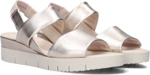 Gabor 771.3 Sandalen Dames Rosegoud