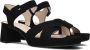 Gabor Hak Sandalen Samtchevreau Stijl Black Dames - Thumbnail 1