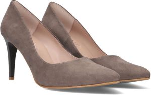 Giulia Pumps Grijs ImitatiesuÃ¨de 140317 Dames Imitatiesuède