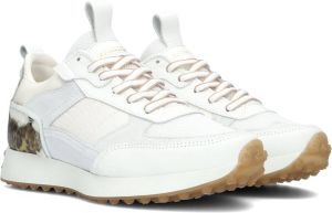Goosecraft Dane Women Lage sneakers Leren Sneaker Dames Wit