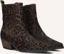Haboob Indie Enkellaarsjes Enkelboots met rits Dames Bruin - Thumbnail 1
