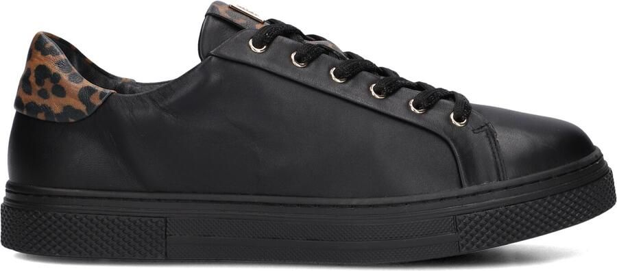HASSIA Lage Sneakers Dames Asti Leer Zwart - Foto 3