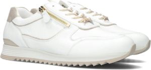 Hassi-A Hassia 302040 Volwassenen Lage sneakers Wit beige