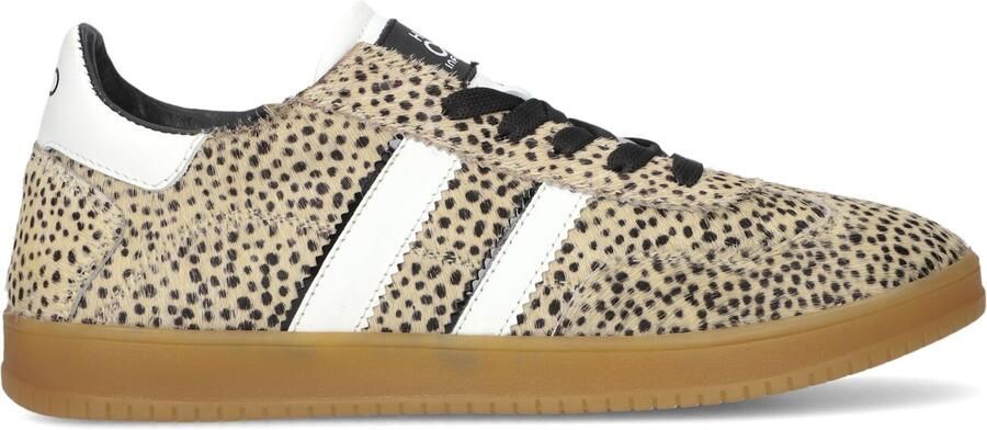 Hip H1500 Sneakers Meisjes Leren Sneaker Beige