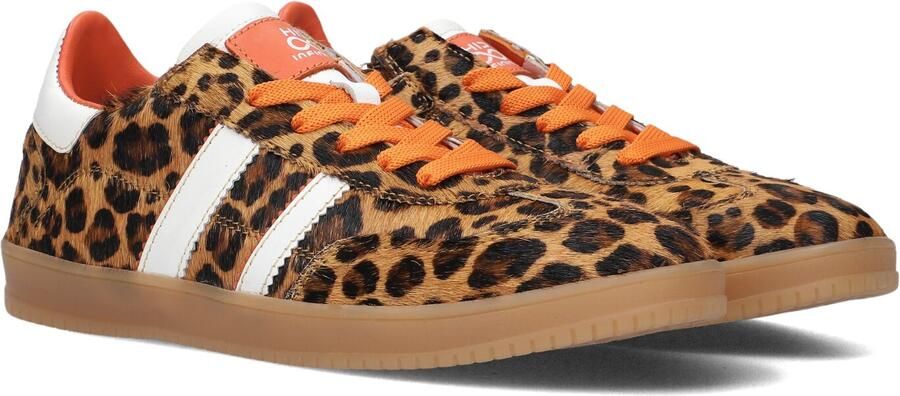 Hip leren sneakers panterprint oranje Bruin Meisjes Leer Panterprint