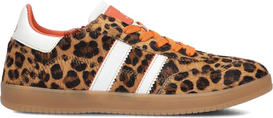 Hip leren sneakers panterprint oranje Bruin Meisjes Leer Panterprint