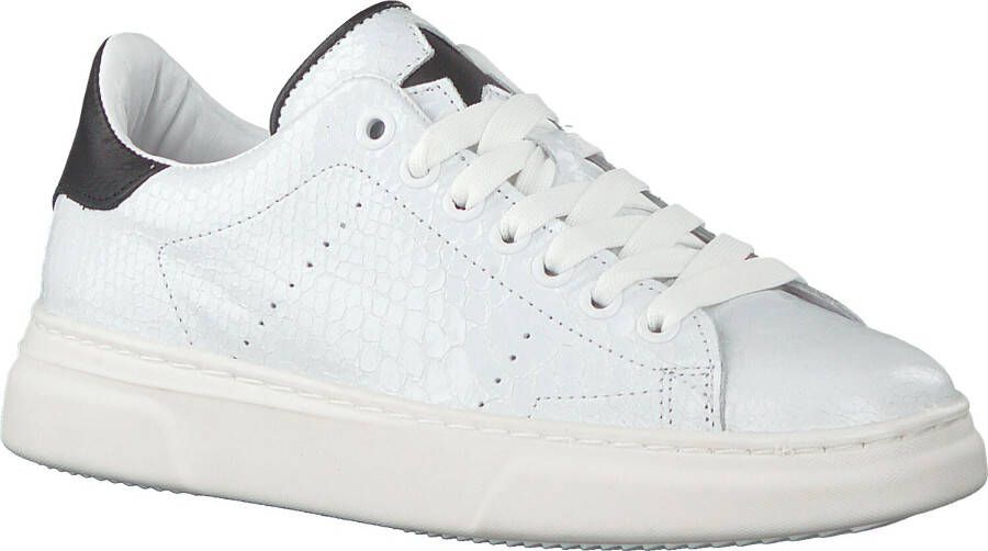 Hip Witte Lage Sneakers H1279