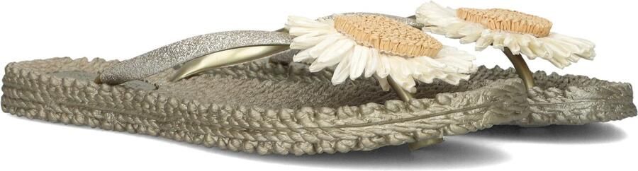 ILSE JACOBSEN Teenslippers Dames Cheerful16f Maat: 38 Materiaal: Rubber Kleur: Zilverkleurig