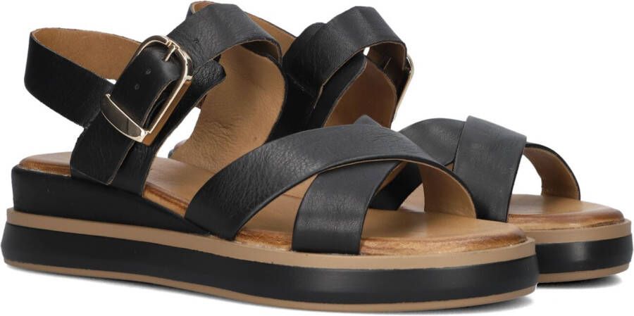 Inuovo 113117 Sandalen Dames Zwart