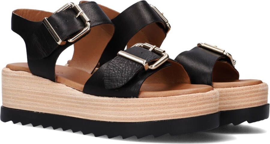 Inuovo 22892004 Sandalen Met Sleehak Dames Zwart