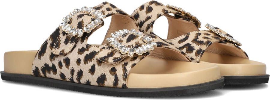 JOSH V Mecia slippers met panterprint beige bruin