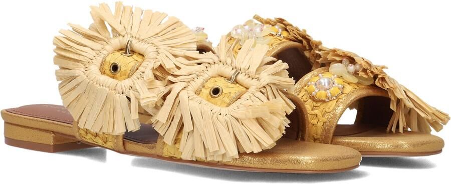 Kurt Geiger London Raffia Buckle Flat Sdl Slippers Dames Goudkleurig