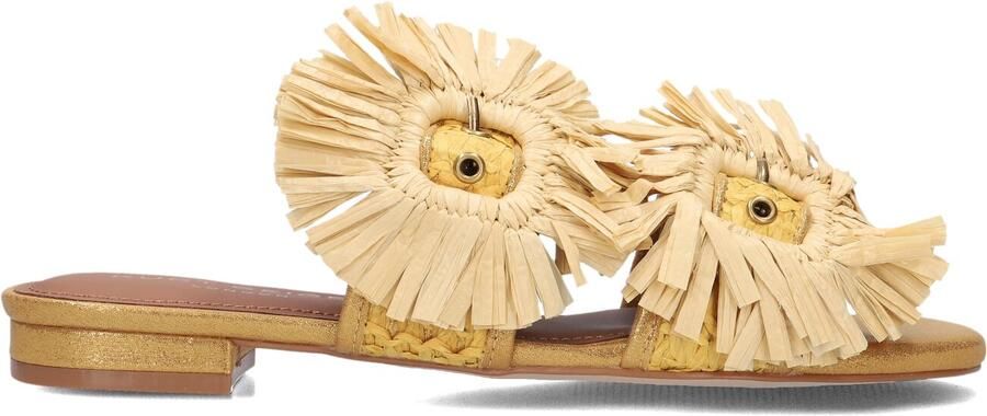 Kurt Geiger London Raffia Buckle Flat Sdl Slippers Dames Goudkleurig - Foto 4