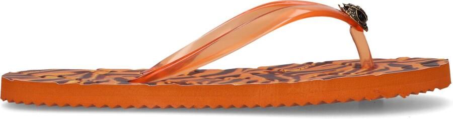 Kurt Geiger London Kensington Q Flip Flop Slippers Dames Oranje - Foto 4