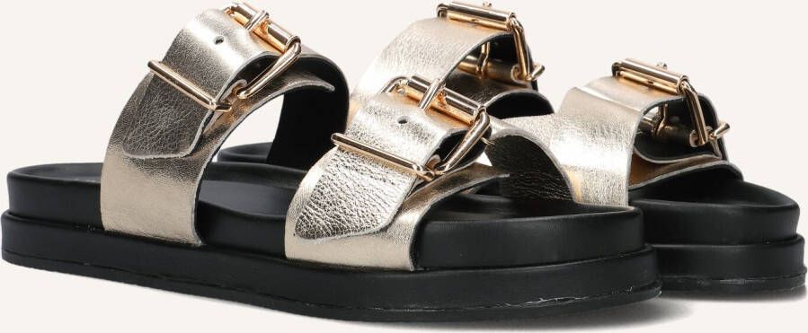 LINA LOCCHI Slippers Dames Led 2 Band Slipper Dz Maat: 40 Materiaal: Leer Kleur: Goud