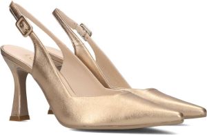 Lodi Gouden Modern