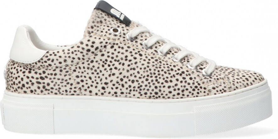 Maruti sneakers ted hairon leather Beige Dames
