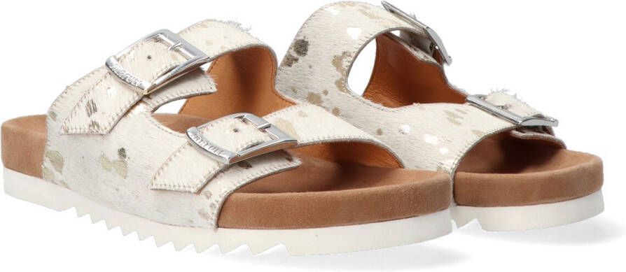 Maruti Gouden Slipper Bellona Multicolor Dames