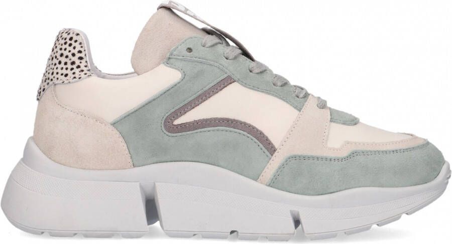 Maruti Cody Suede Leather Green Lage sneakers