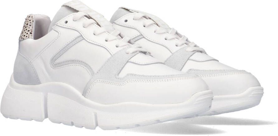 Maruti Witte Lage Sneakers Cody