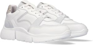 Maruti Witte Lage Sneakers Cody