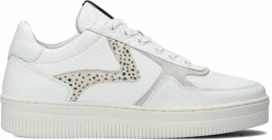 Maruti Momo Leather Sneaker casual White Pixel Offwhi