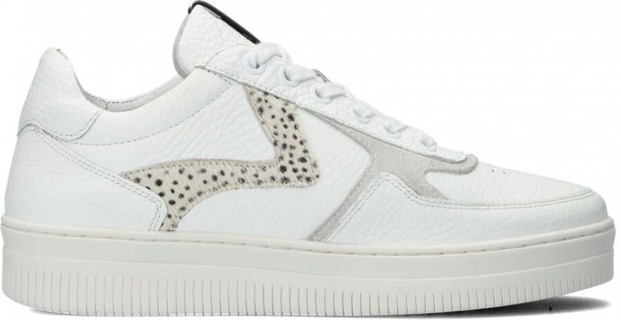 Maruti Momo Leather Sneaker casual White / Pixel Offwhi 36 - Schoenen.nl