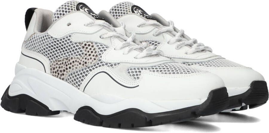 Maruti Witte Lage Sneakers Toni