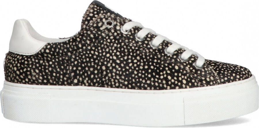 Maruti Ted Sneakers Pixel Zwart Dames Sneakers Zwart