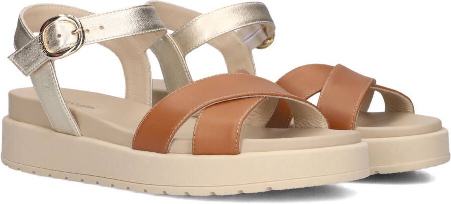 Nero Giardini 513703 Sandalen Dames Bruin