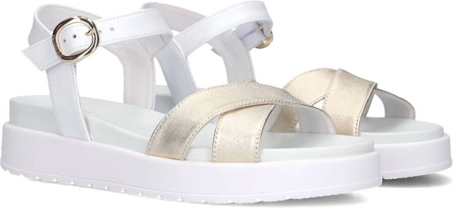 Nero Giardini 513703 Sandalen Dames Wit