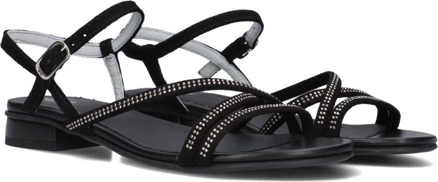 Nerogiardini Zwarte Lage Hak Sandalen voor Vrouwen Black Dames