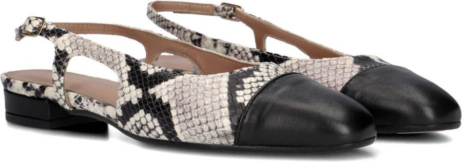 Notre-v Dames Hakken 08-490 Multicolor Dames