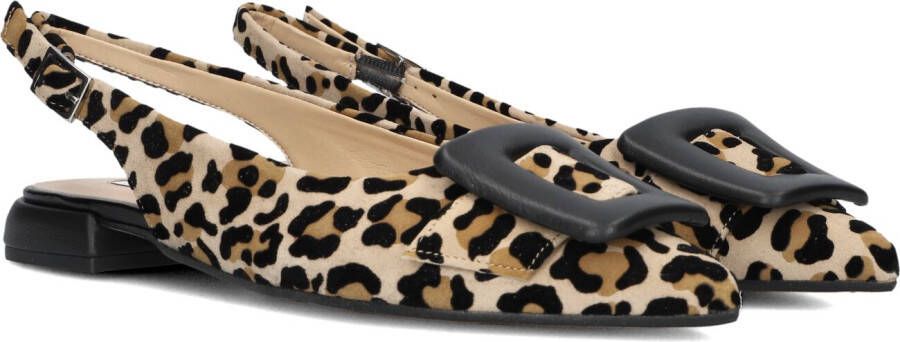 Notre-V 12241 Schoenen Dames Beige