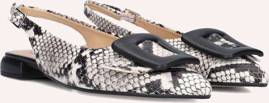 Notre-V 12241 Schoenen Dames Beige
