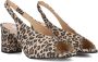 Notre-V 16068 Schoenen Dames Beige - Thumbnail 1