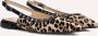 Notre-V 12270 Schoenen Dames Bruin - Thumbnail 1
