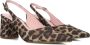 Notre-V 2315c Schoenen Dames Bruin - Thumbnail 1