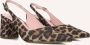 Notre-V 2315c Schoenen Dames Bruin - Thumbnail 1
