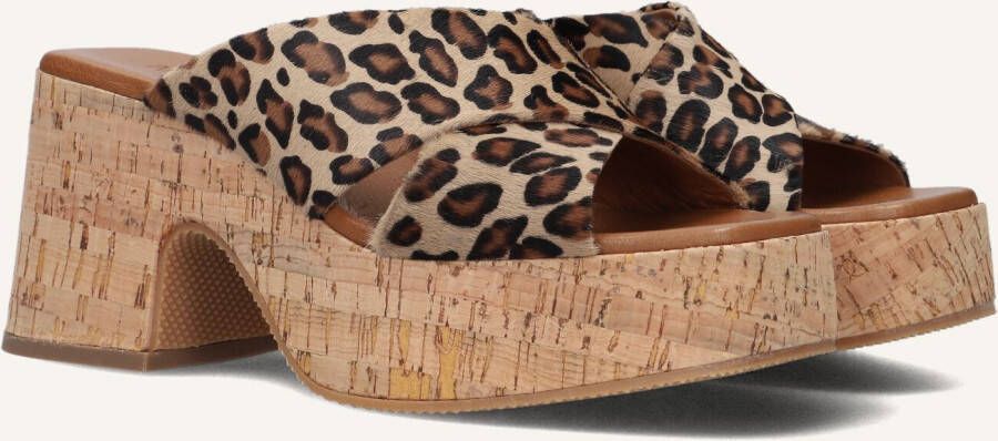 Notre-v Dames Hakken 989001 Brown Dames