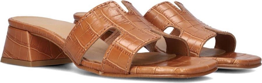 Notre-V As-16621 Hakken Dames Bruin