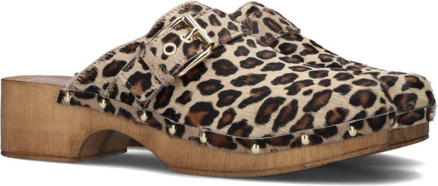 Notre-v Dames Clogs 7743 Brown Dames
