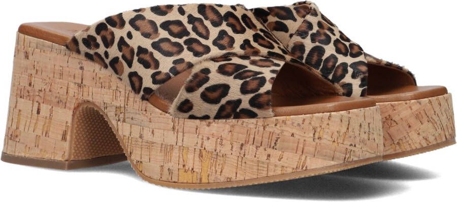 Notre-v Dames Hakken 989001 Brown Dames