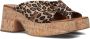 Notre-v Dames Hakken 989001 Brown Dames - Thumbnail 1