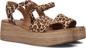Notre-V 602034 Sandalen Dames Bruin