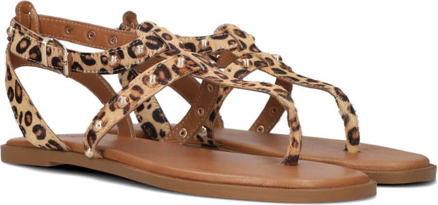 Notre-v Dames Sandalen 981021 Brown Dames