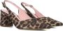 Notre-V 2315c Schoenen Dames Bruin - Thumbnail 1