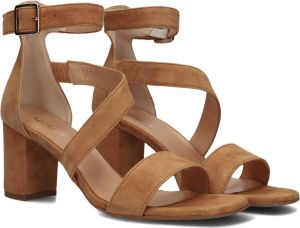 Notre-V Bruin Tinten 34336 Sandalen Dames Cognac